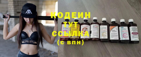 индика Заводоуковск