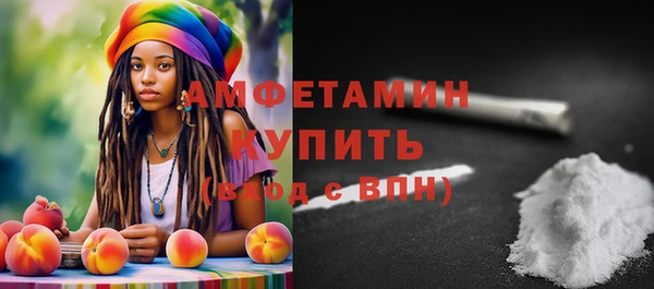 индика Заводоуковск