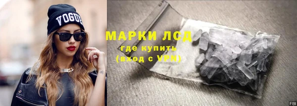 индика Заводоуковск