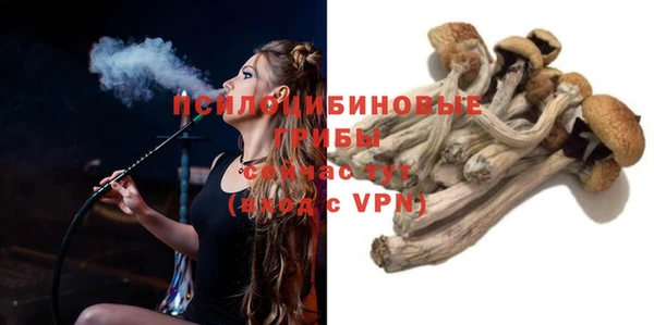 mdpv Заволжск