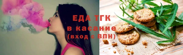 индика Заводоуковск