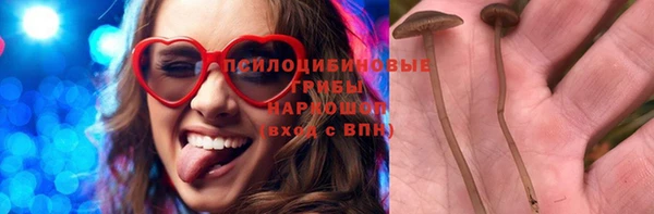 mdpv Заволжск
