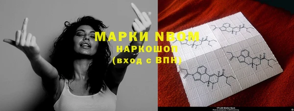 индика Заводоуковск