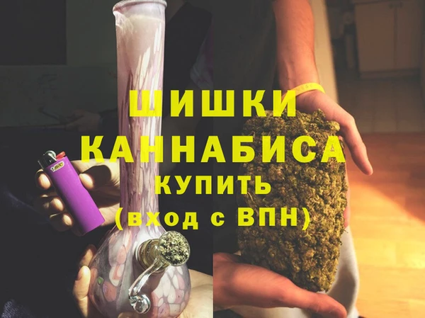 индика Заводоуковск