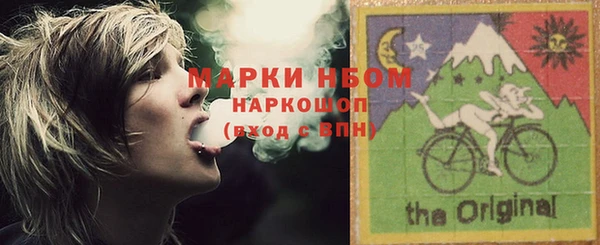 индика Заводоуковск